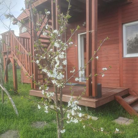 Villa Joevo Het Pihenohaz à Poroszló Extérieur photo
