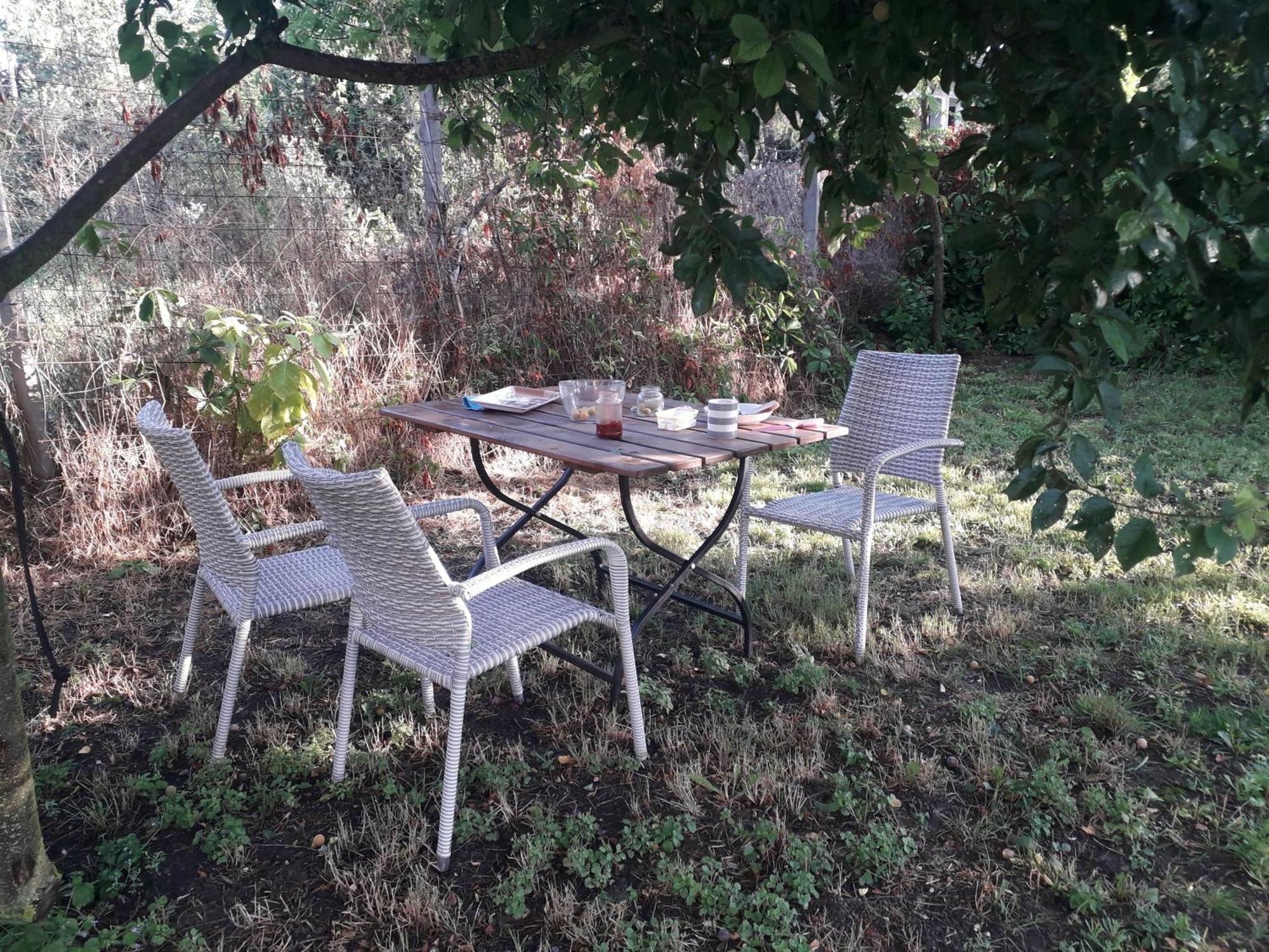 Villa Joevo Het Pihenohaz à Poroszló Extérieur photo