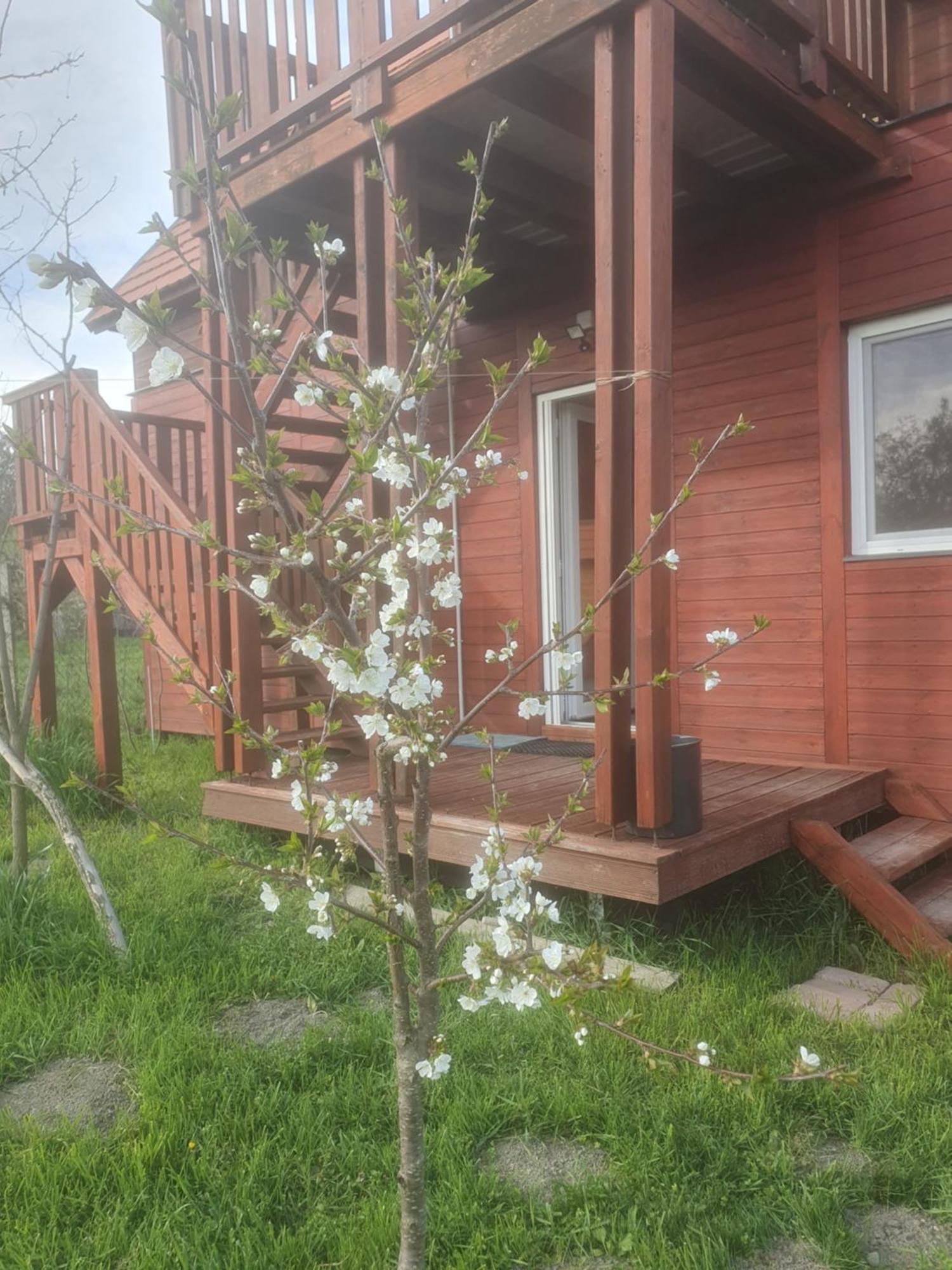 Villa Joevo Het Pihenohaz à Poroszló Extérieur photo